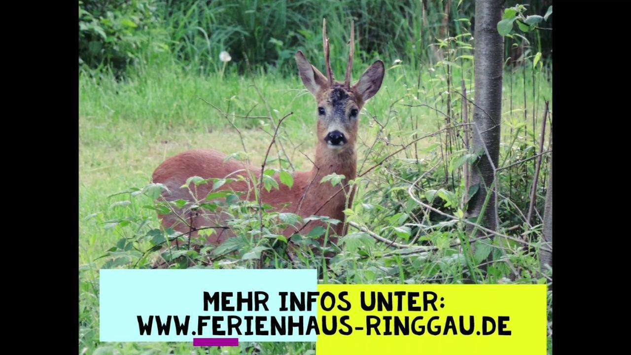 Haus Ringgau - Urlaub, Gemeinschaft Und Erlebnis Im Herzen Von Deutschland Herleshausen Bagian luar foto