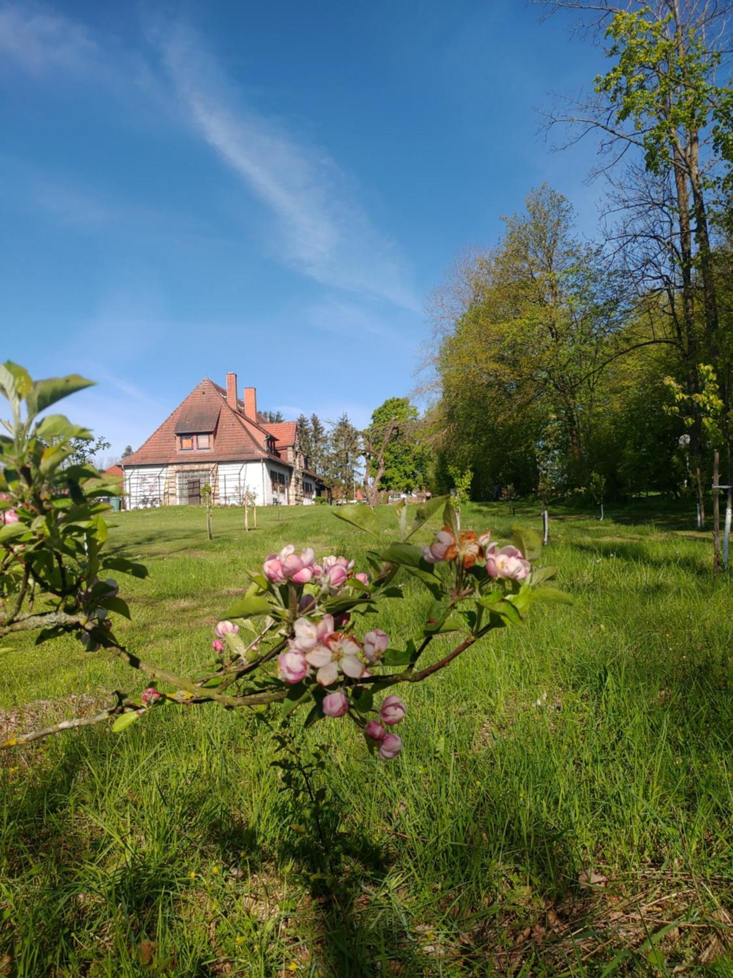Haus Ringgau - Urlaub, Gemeinschaft Und Erlebnis Im Herzen Von Deutschland Herleshausen Bagian luar foto
